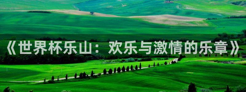 足球世预赛：《世界杯乐山：欢乐与激情的乐章》