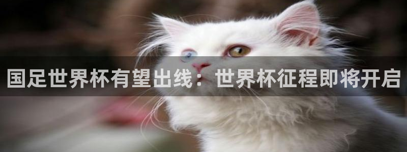 世界杯欧洲区预选赛：国足世界杯有望出线：世界杯征程即将开启