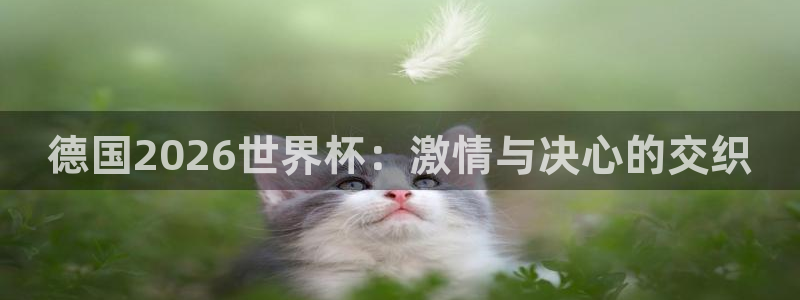 世界杯预选赛亚洲区积分榜：德国2026世界杯：激情与决心的交织