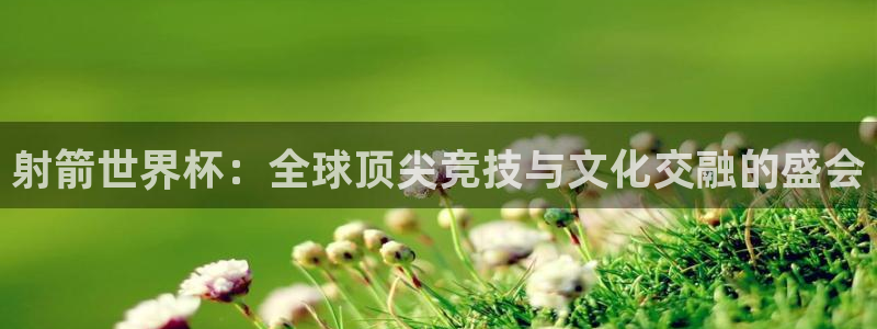 世界杯欧洲区世预赛赛程：射箭世界杯：全球顶尖竞技与文化交融的盛会