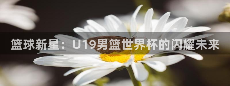 世界杯欧洲区赛程：篮球新星：U19男篮世界杯的闪耀未来