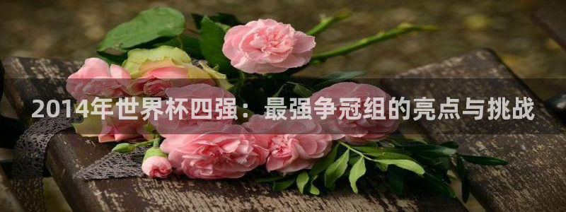 世界杯决赛直播：2014年世界杯四强：最强争冠组的亮点与挑战