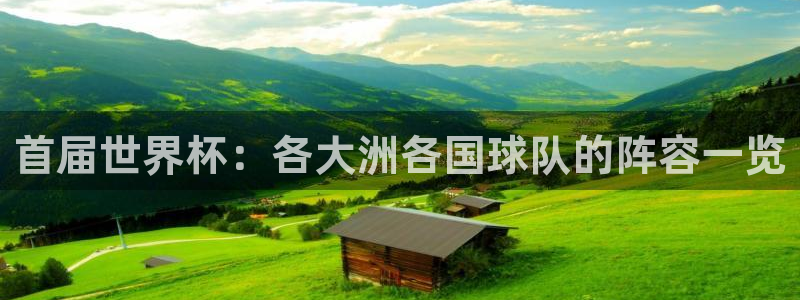 世界杯预选赛欧洲区赛程：首届世界杯：各大洲各国球队的阵容一览