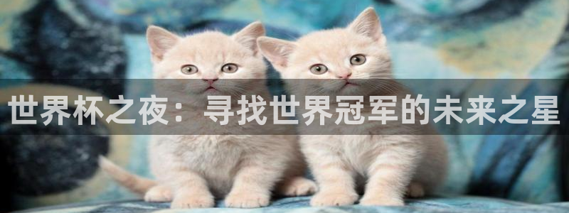 2026世界杯直播免费观看：世界杯之夜：寻找世界冠军的未来之星