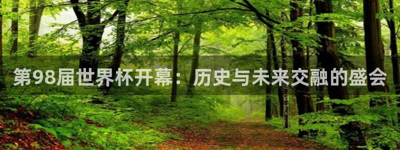 世界杯亚洲区预选赛赛程：第98届世界杯开幕：历史与未来交融的盛会