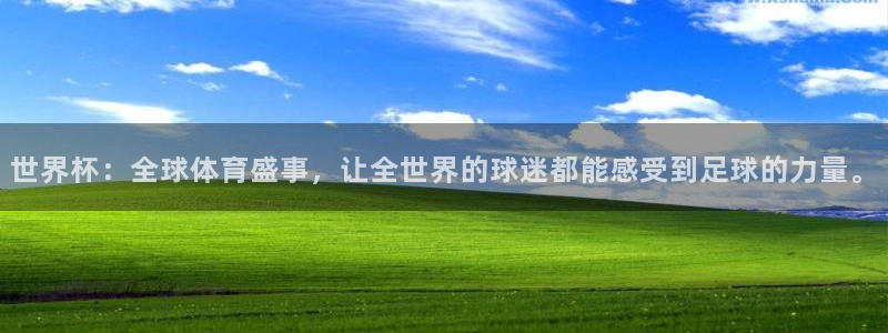 2026世预赛赛程：世界杯：全球体育盛事，让全世界的球迷都能感受到足球的力量。
