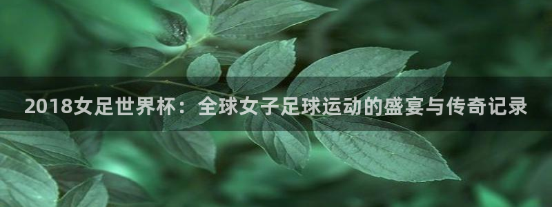 世界杯预选赛欧洲赛区赛程：2018女足世界杯：全球女子足球运动的盛宴与传奇记录