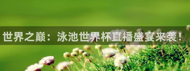 世界杯亚洲区预选赛积分榜：世界之巅：泳池世界杯直播盛宴来袭！