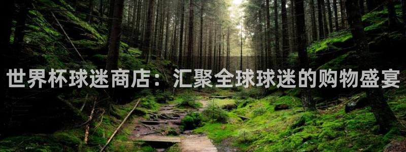 世界杯比赛赛程：世界杯球迷商店：汇聚全球球迷的购物盛宴
