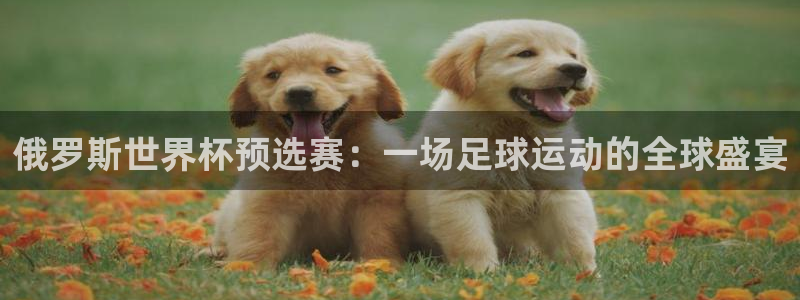世界杯今日赛程直播：俄罗斯世界杯预选赛：一场足球运动的全球盛宴