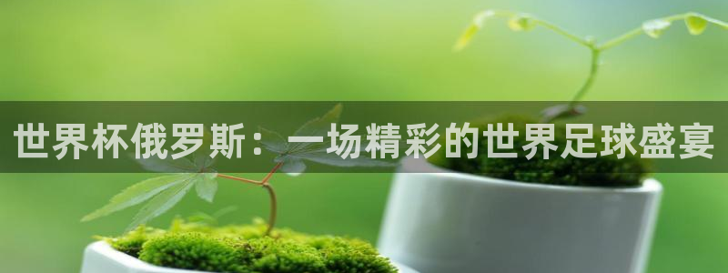 世界杯球队：世界杯俄罗斯：一场精彩的世界足球盛宴