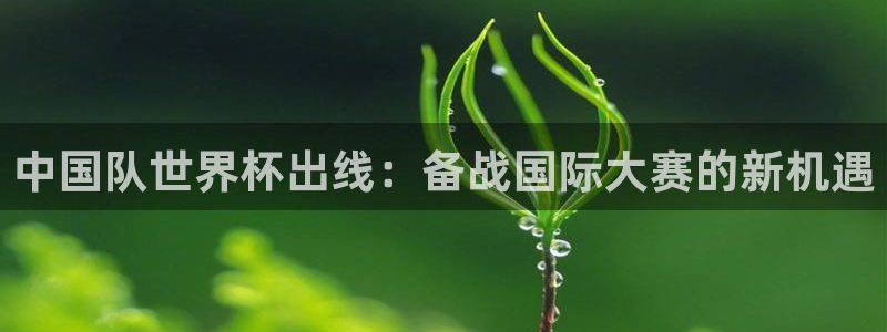 足球杯：中国队世界杯出线：备战国际大赛的新机遇