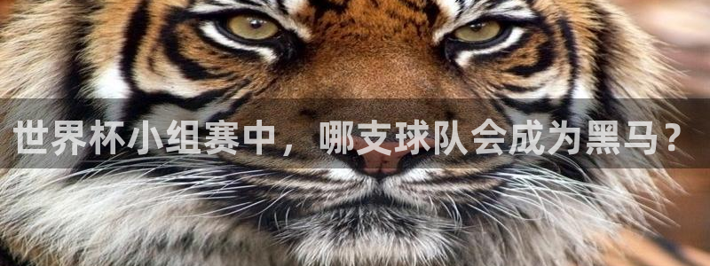 世界杯女足直播：世界杯小组赛中，哪支球队会成为黑马？