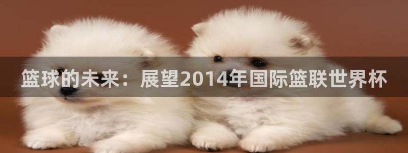 英足总杯直播：篮球的未来：展望2014年国际篮联世界杯