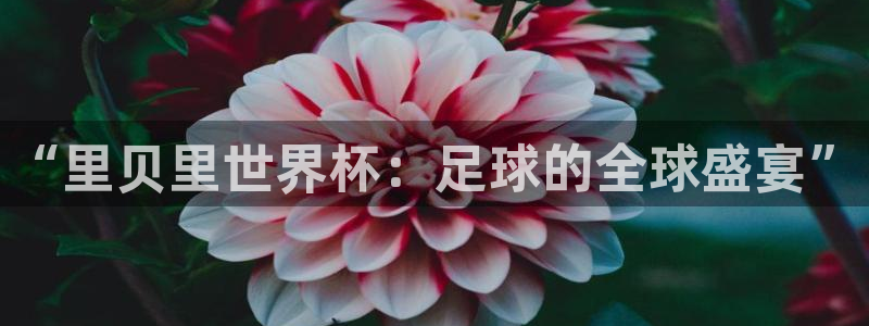 世界杯预选赛亚洲：“里贝里世界杯：足球的全球盛宴”